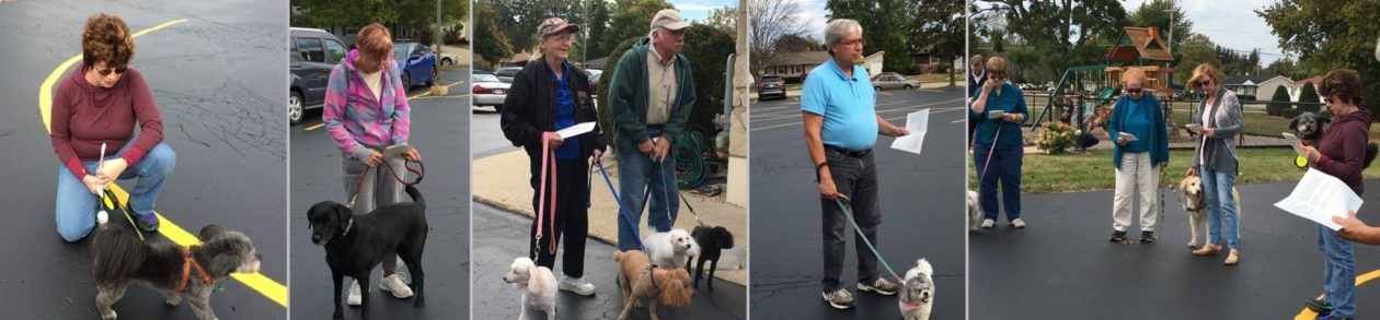 St Paul’s Lutheran Church  – Worship Saturday 5 PM & Sunday 9 AM