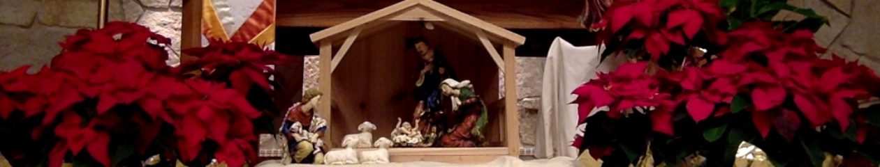 St Paul’s Lutheran Church  – Worship Saturday 5 PM & Sunday 9 AM